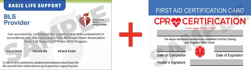 Sample American Heart Association AHA BLS CPR Card Certification and First Aid Certification Card from CPR Certification Greensboro