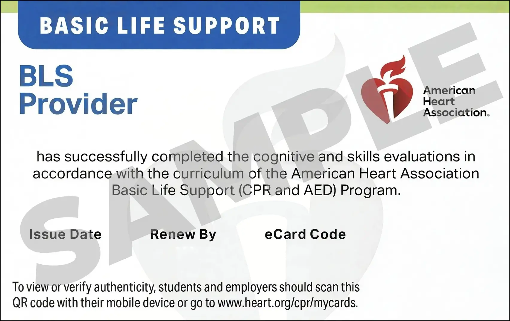 Sample American Heart Association AHA BLS CPR Card Certification from CPR Certification Greensboro